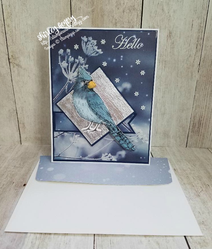 Stampin’ Up! Feels Like Frost – Stampin with Shirley G