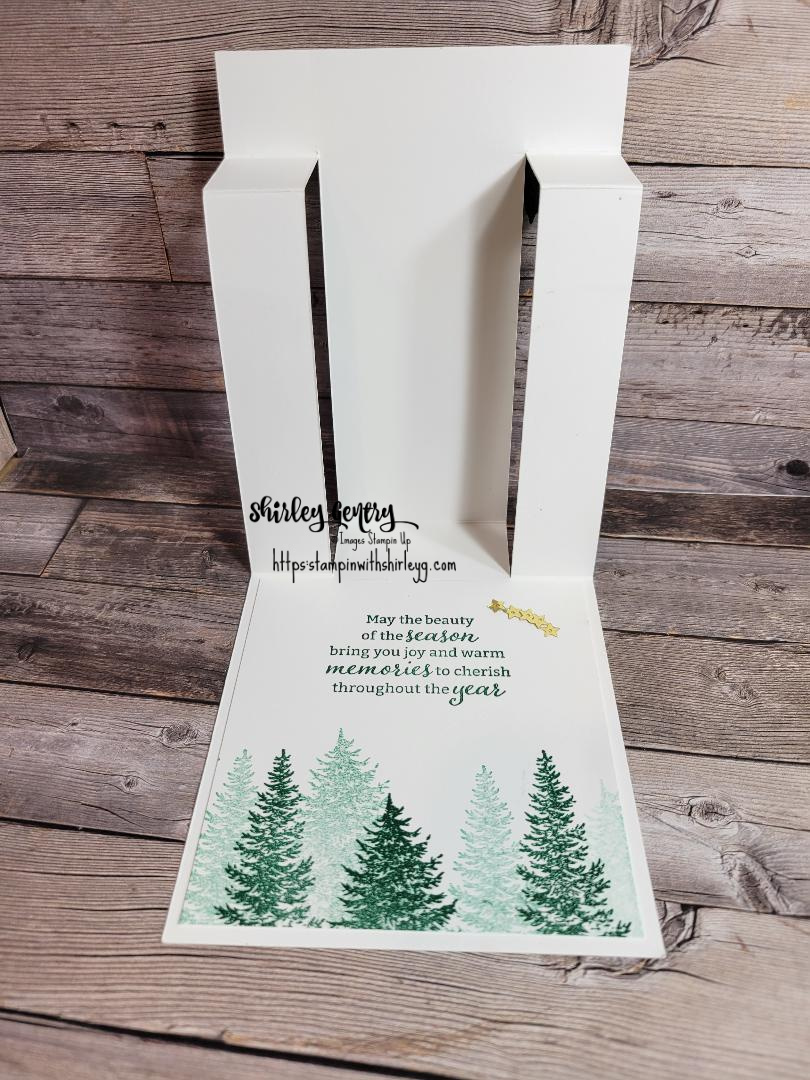 Stampin’ Up! Evergreen Elegance Merry Christmas – Stampin with Shirley G